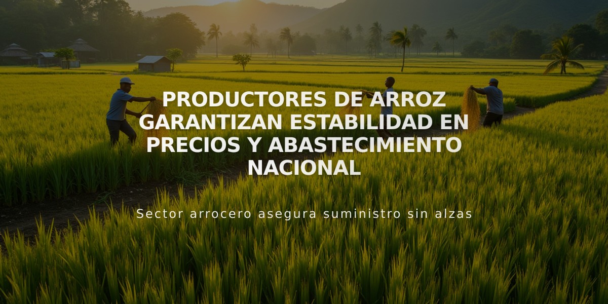 Productores de arroz garantizan estabilidad en precios y abastecimiento nacional