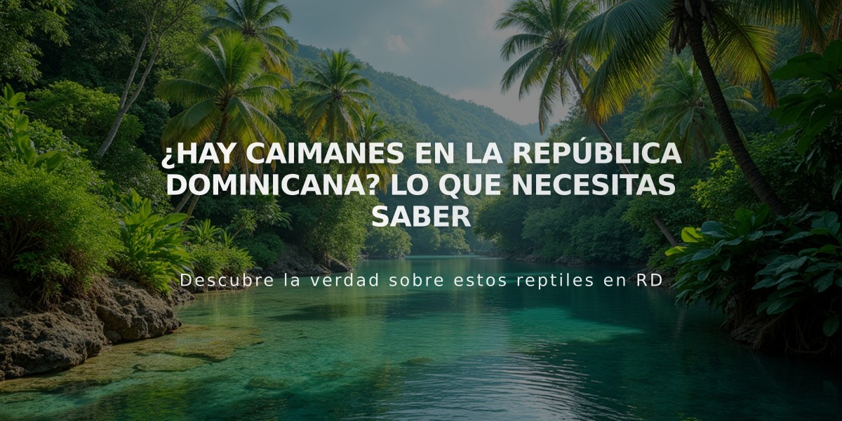 ¿Hay caimanes en la República Dominicana? Lo que necesitas saber