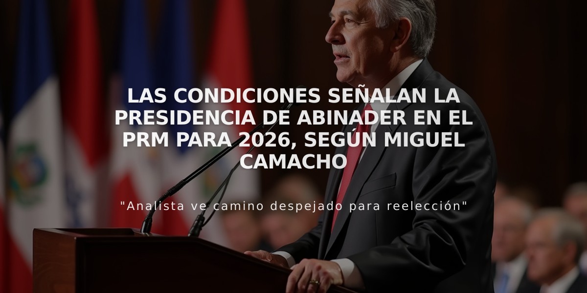 Las condiciones señalan la presidencia de Abinader en el PRM para 2026, según Miguel Camacho