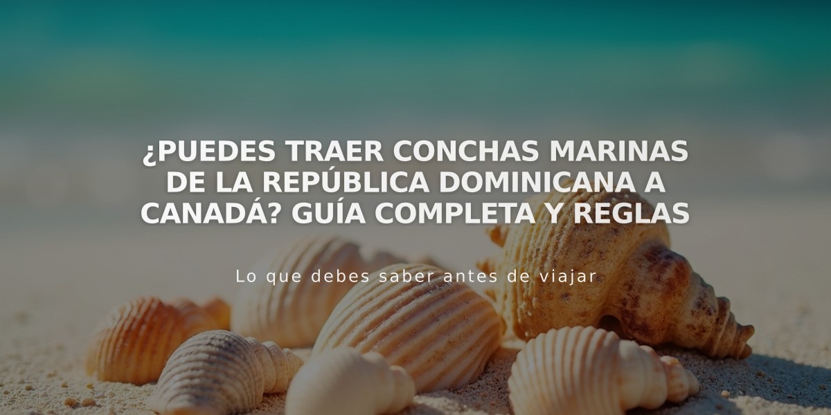 ¿Puedes traer conchas marinas de la República Dominicana a Canadá? Guía completa y reglas