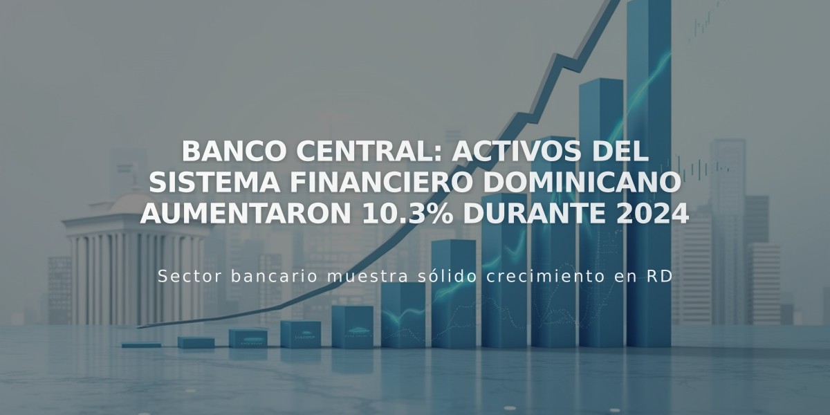 Banco Central: Activos del sistema financiero dominicano aumentaron 10.3% durante 2024