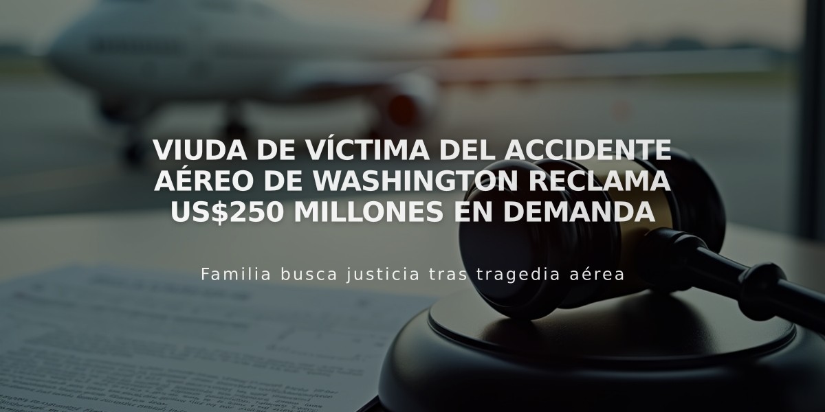 Viuda de víctima del accidente aéreo de Washington reclama US$250 millones en demanda