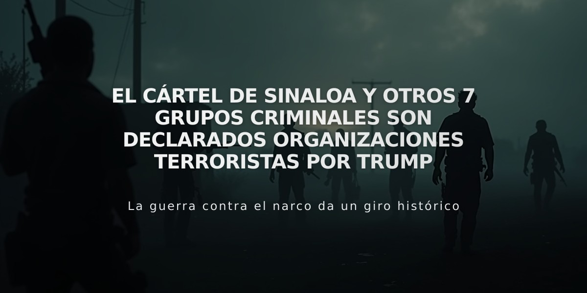 El Cártel de Sinaloa y otros 7 grupos criminales son declarados organizaciones terroristas por Trump