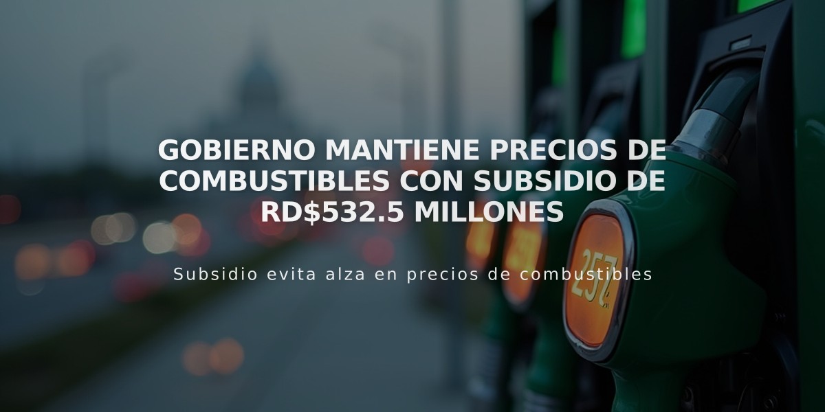 Gobierno mantiene precios de combustibles con subsidio de RD$532.5 millones