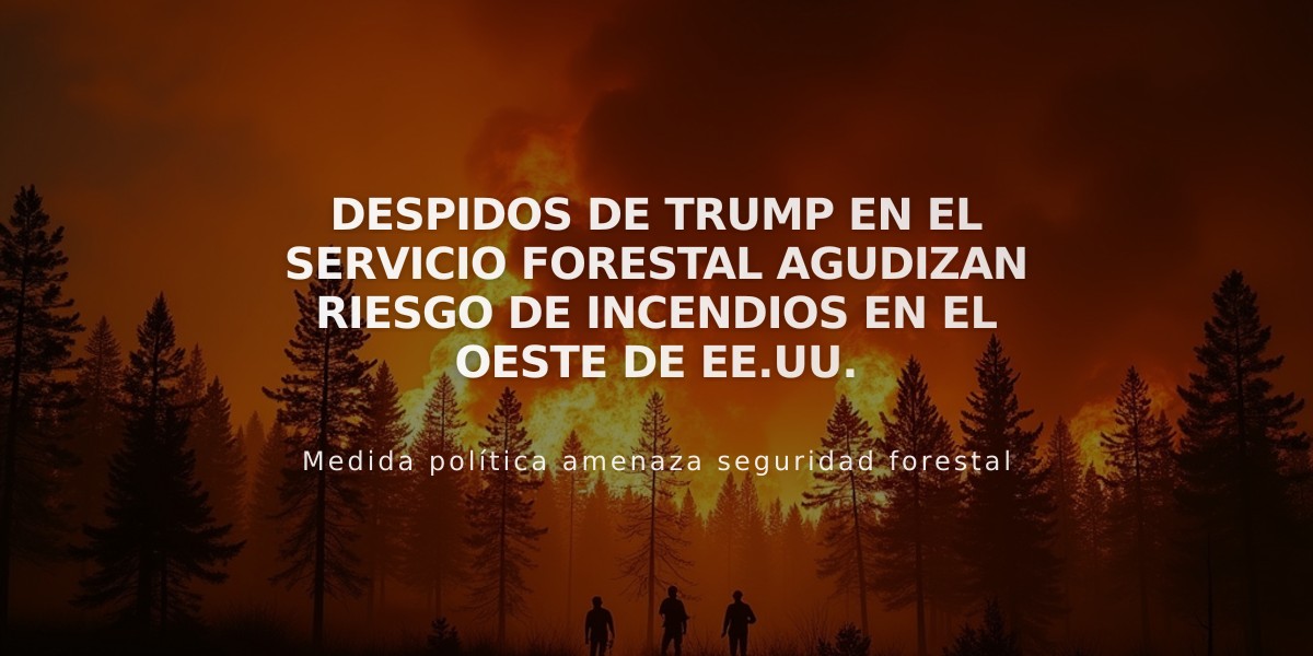 Despidos de Trump en el Servicio Forestal agudizan riesgo de incendios en el oeste de EE.UU.