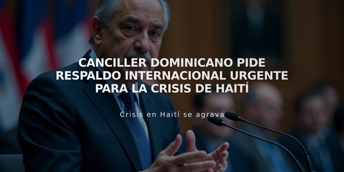 Canciller dominicano pide respaldo internacional urgente para la crisis de Haití