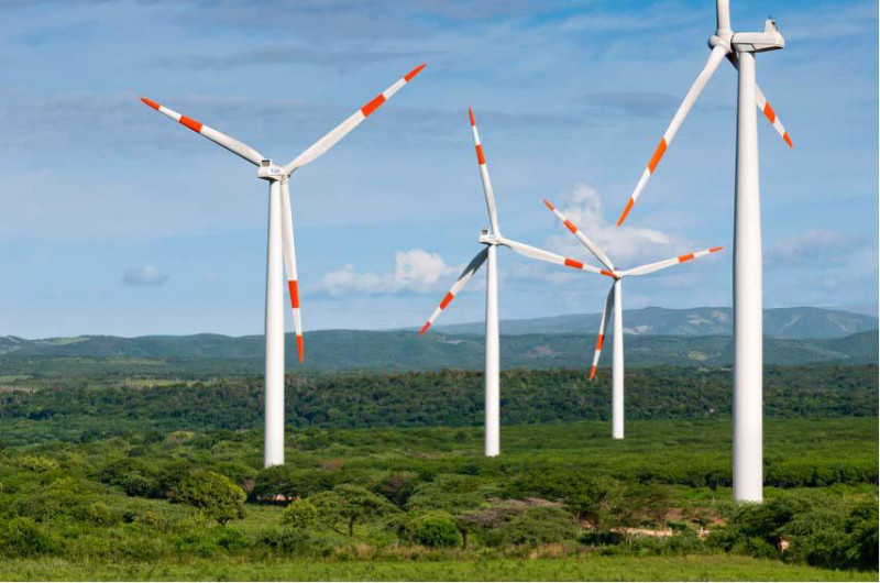 Turbinas eólicas en campo verde