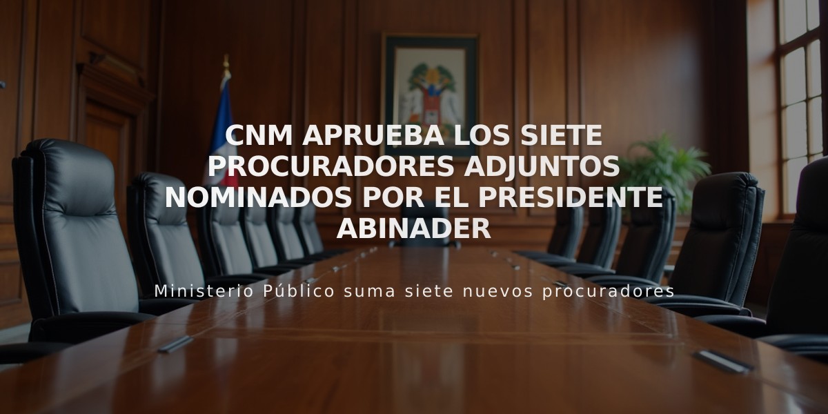 CNM aprueba los siete procuradores adjuntos nominados por el presidente Abinader