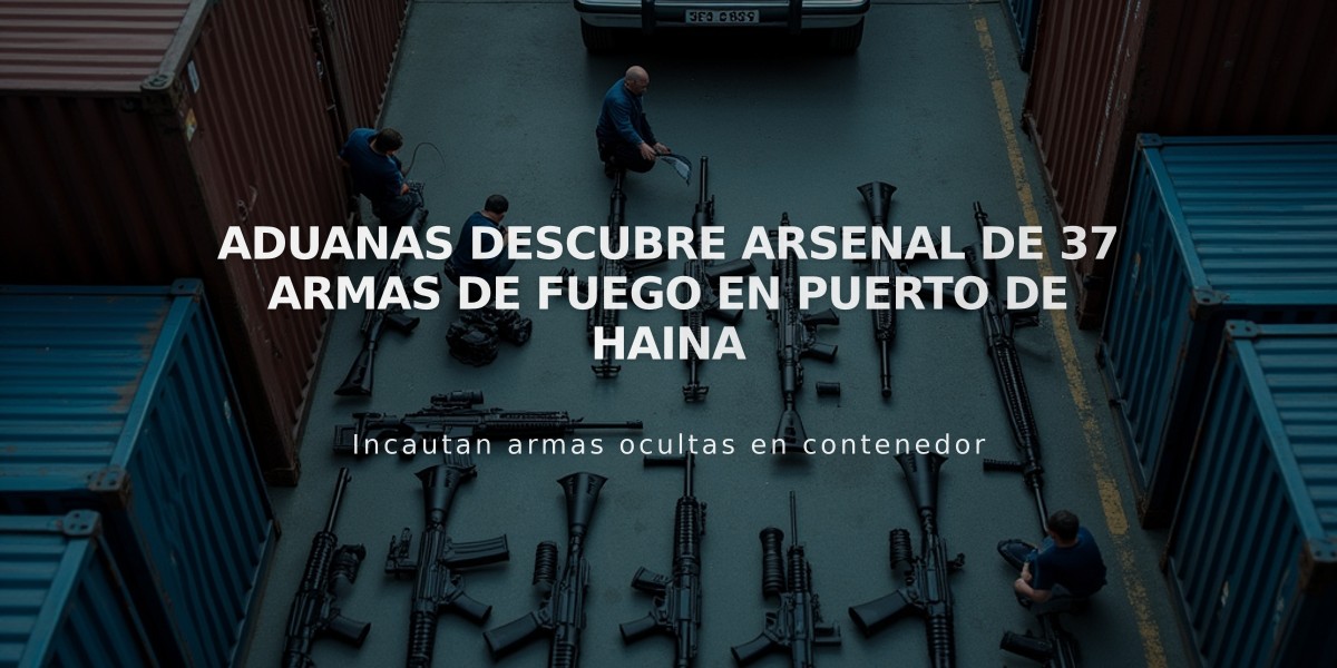 Aduanas descubre arsenal de 37 armas de fuego en puerto de Haina