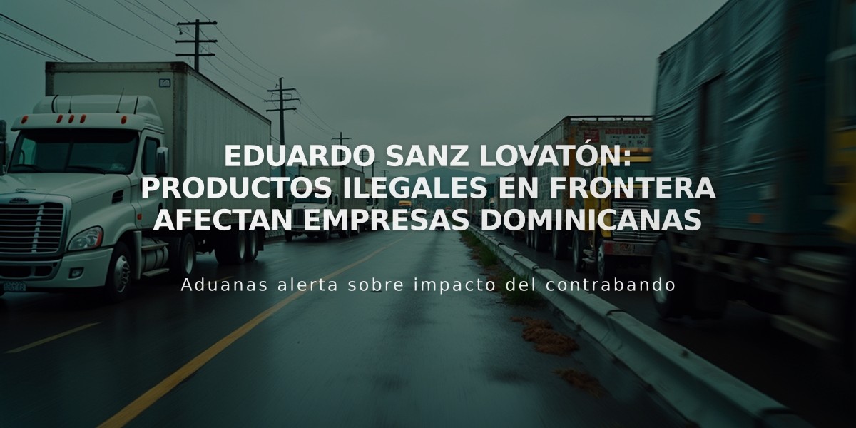 Eduardo Sanz Lovatón: Productos ilegales en frontera afectan empresas dominicanas