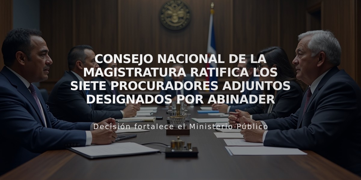 Consejo Nacional de la Magistratura ratifica los siete procuradores adjuntos designados por Abinader