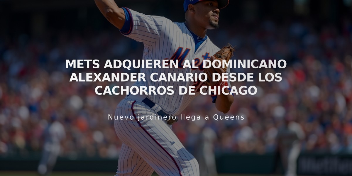 Mets adquieren al dominicano Alexander Canario desde los Cachorros de Chicago