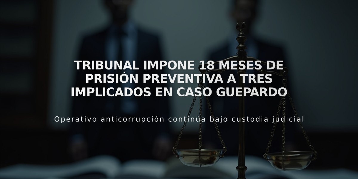 Tribunal impone 18 meses de prisión preventiva a tres implicados en caso Guepardo