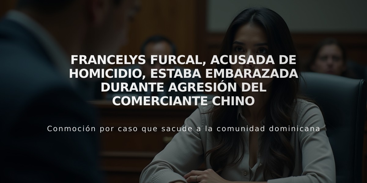 Francelys Furcal, acusada de homicidio, estaba embarazada durante agresión del comerciante chino