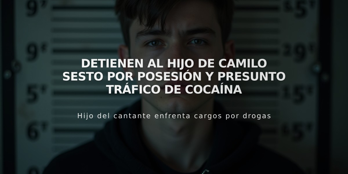 Detienen al hijo de Camilo Sesto por posesión y presunto tráfico de cocaína