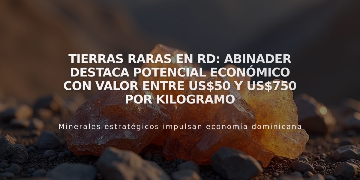 Tierras raras en RD: Abinader destaca potencial económico con valor entre US$50 y US$750 por kilogramo