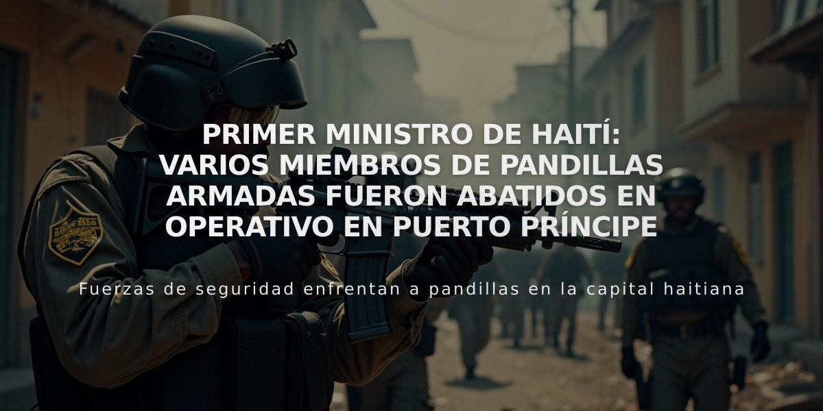 Primer ministro de Haití: Varios miembros de pandillas armadas fueron abatidos en operativo en Puerto Príncipe