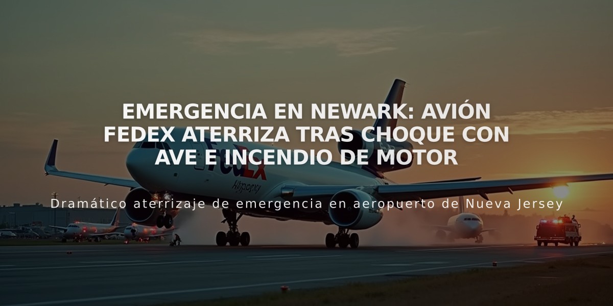 Emergencia en Newark: Avión FedEx aterriza tras choque con ave e incendio de motor