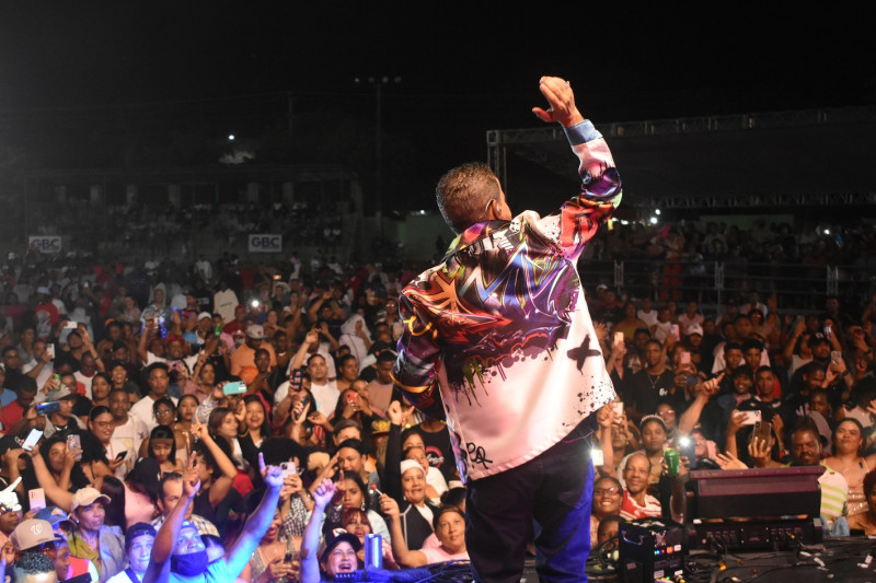 Artista cantando en concierto