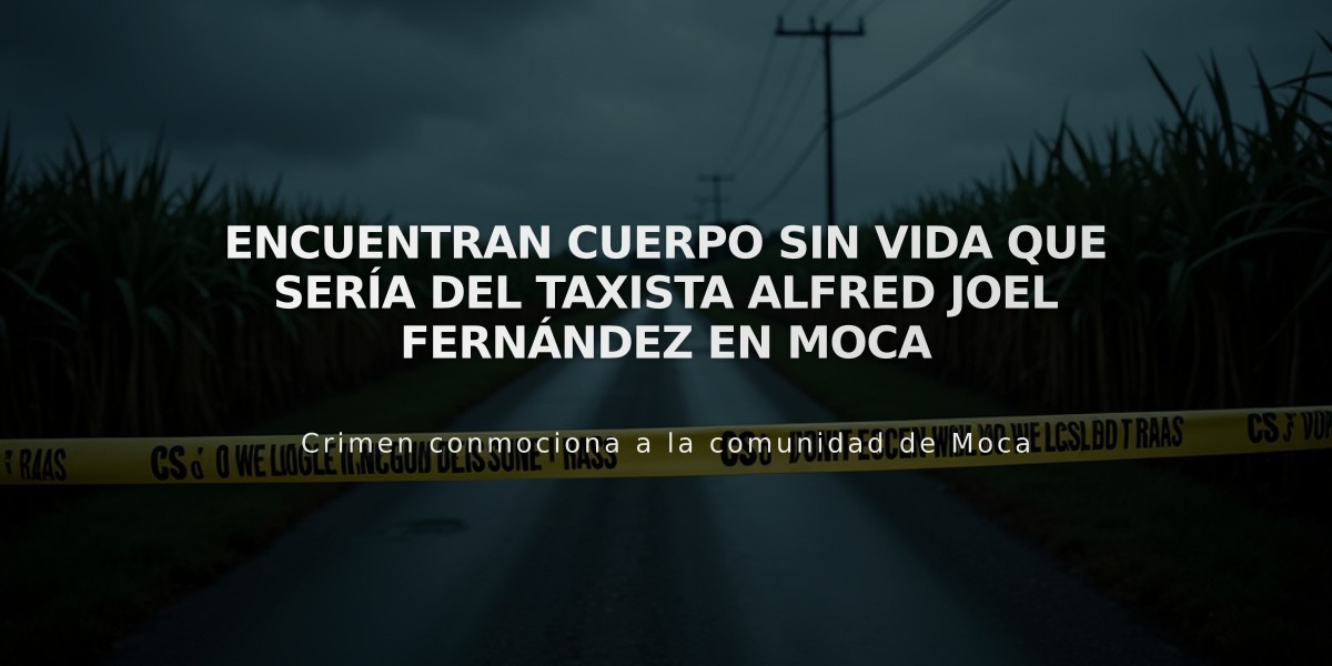 Encuentran cuerpo sin vida que sería del taxista Alfred Joel Fernández en Moca