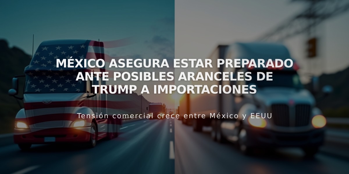 México asegura estar preparado ante posibles aranceles de Trump a importaciones