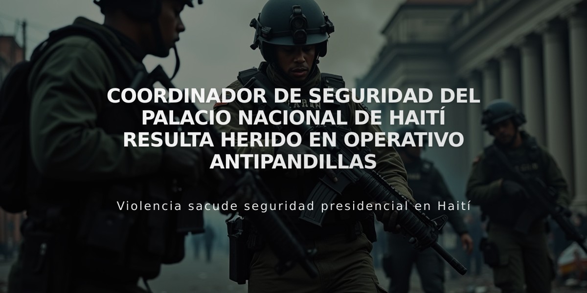 Coordinador de Seguridad del Palacio Nacional de Haití resulta herido en operativo antipandillas