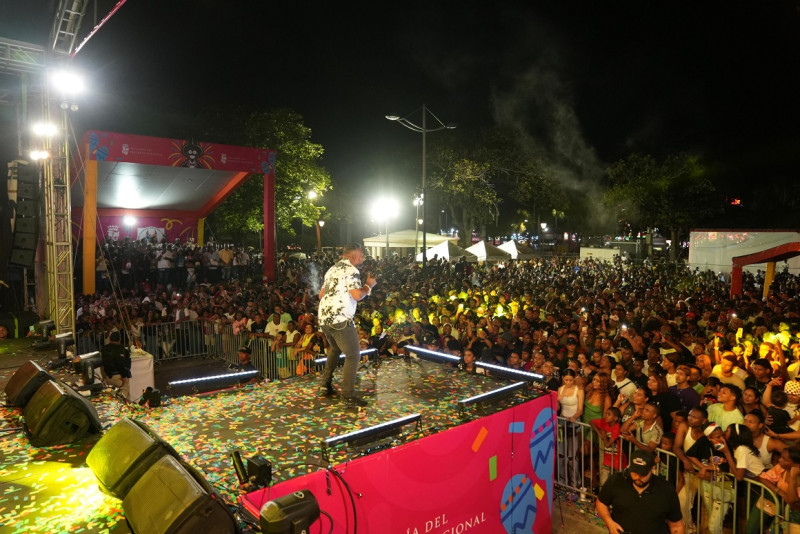 Hombre cantando en concierto nocturno