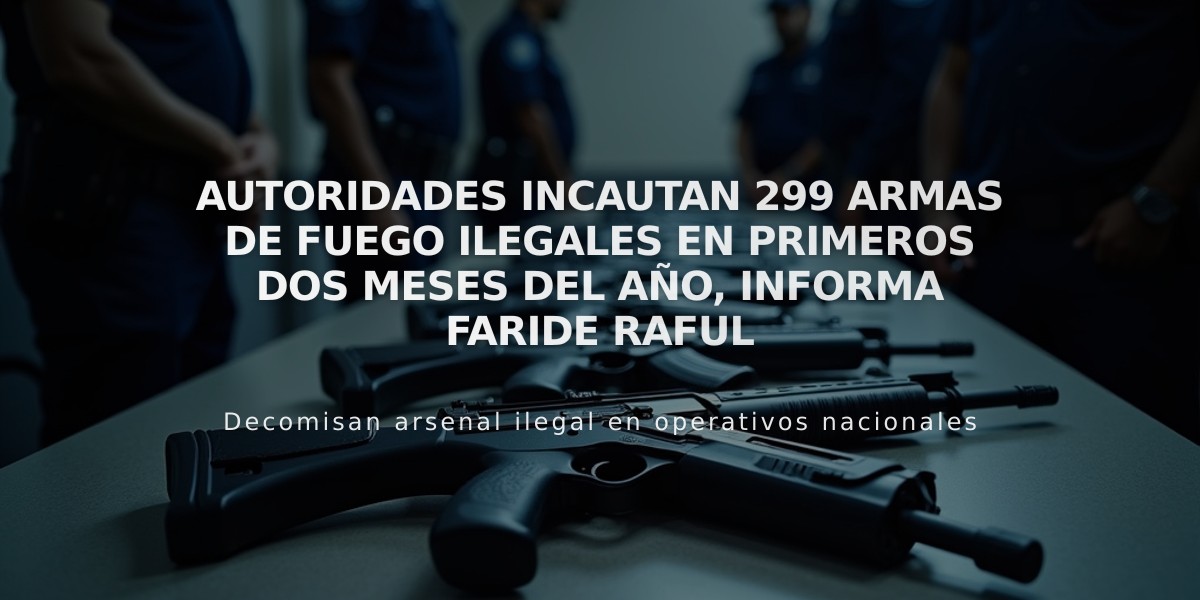 Autoridades incautan 299 armas de fuego ilegales en primeros dos meses del año, informa Faride Raful