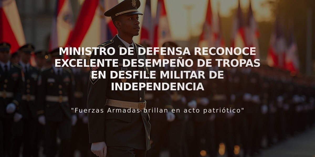 Ministro de Defensa reconoce excelente desempeño de tropas en Desfile Militar de Independencia