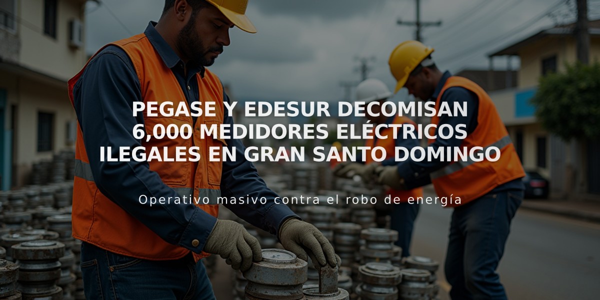 Pegase y Edesur decomisan 6,000 medidores eléctricos ilegales en Gran Santo Domingo