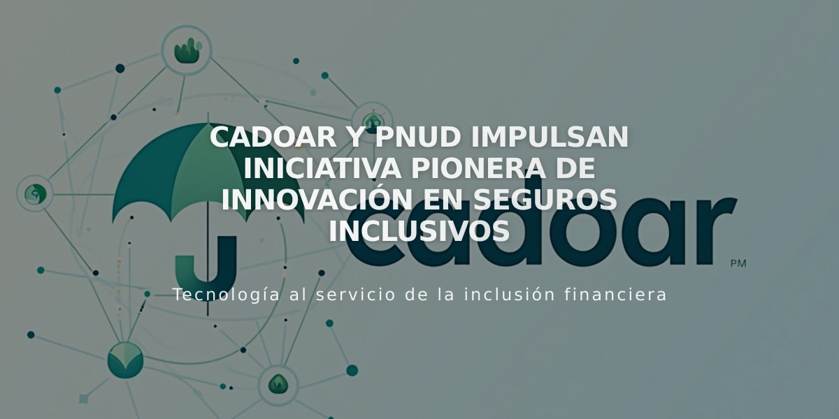 Cadoar y PNUD impulsan iniciativa pionera de innovación en seguros inclusivos