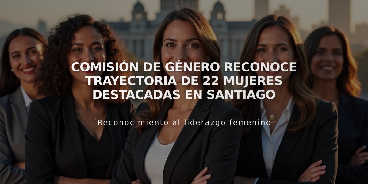 Comisión de Género reconoce trayectoria de 22 mujeres destacadas en Santiago