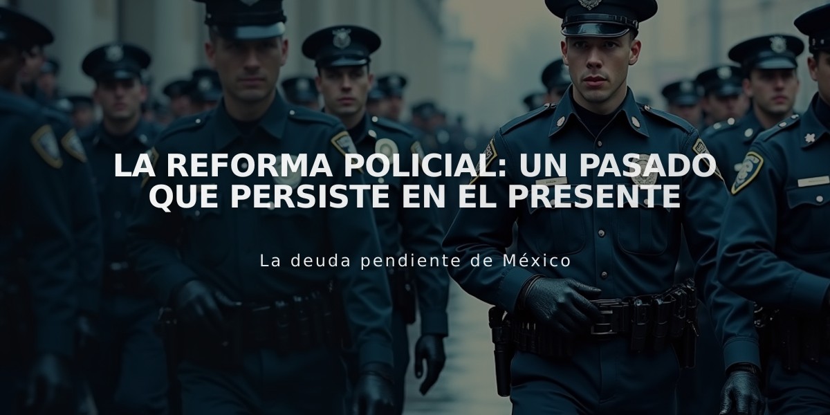 La reforma policial: un pasado que persiste en el presente